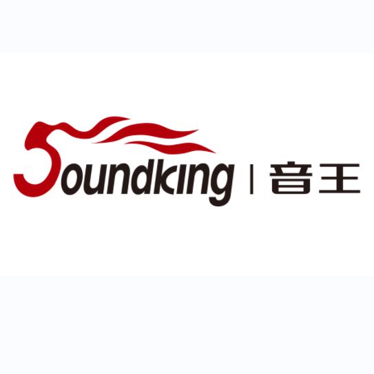 星空体育：音王杯·2022年度声光视讯行业十佳音视频集成设备供应商风采展示(图11)