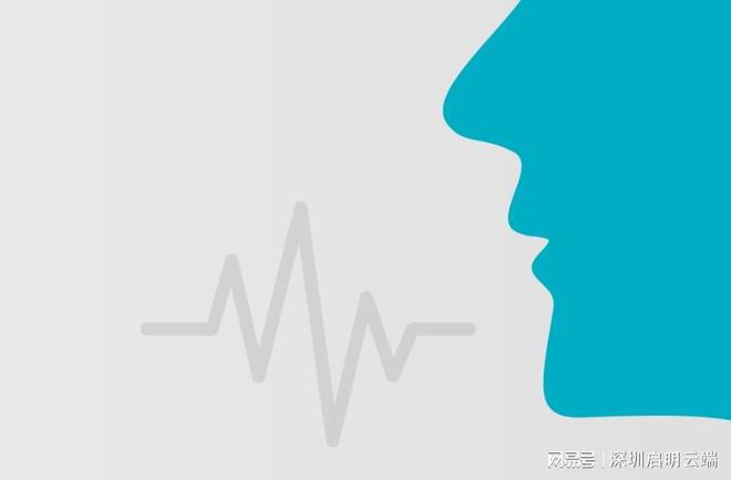 乐鑫一级代理商启明云端双向语音通信乐鑫ESP-RTC音视频方案(图4)