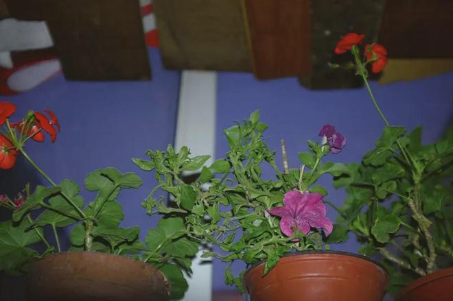 花2元住一晚的女人们无家可归。(图6)