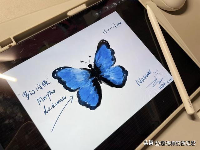 2024年最值得选购的一款平板电脑是什么？(图10)