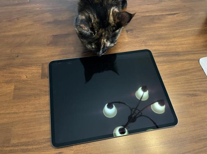 2024 年“4款最佳”iPad排行：新款iPad非常棒所有都均经过测试(图8)