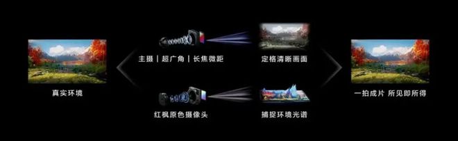 星空体育平台：超强黑科技新年换机全攻略(图2)