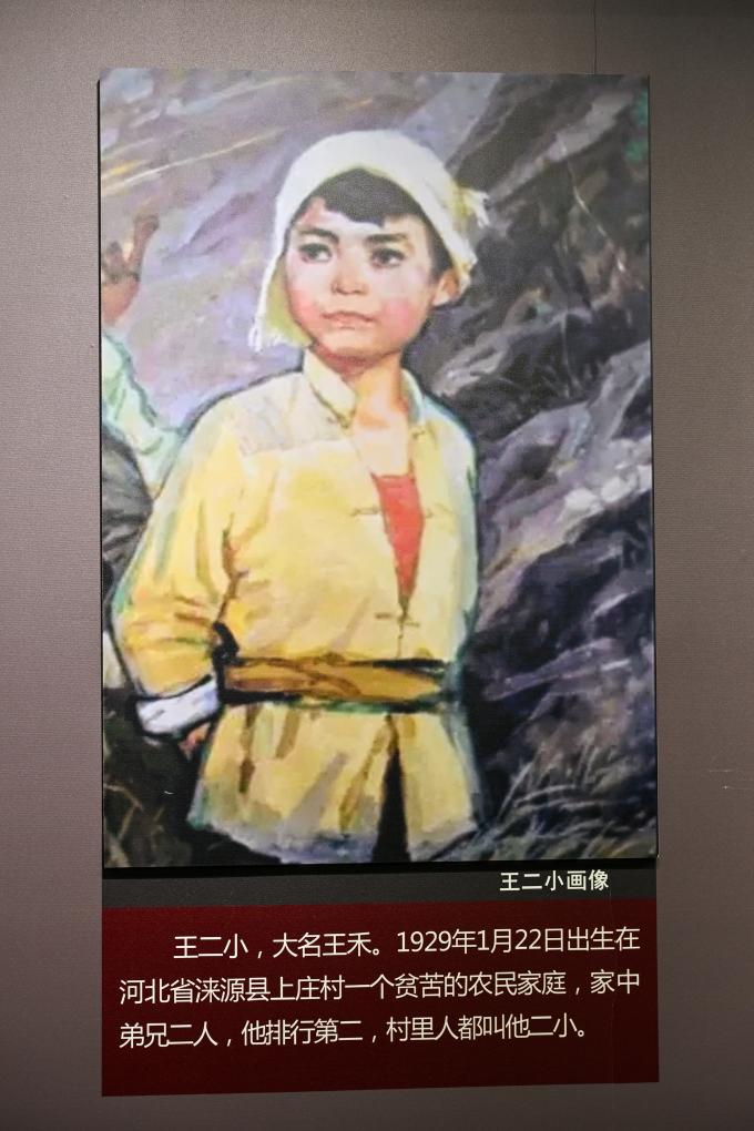 铭记历史 缅怀先烈丨山河回响(图9)
