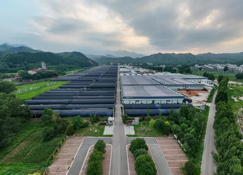 铭记历史 缅怀先烈丨山河回响(图13)