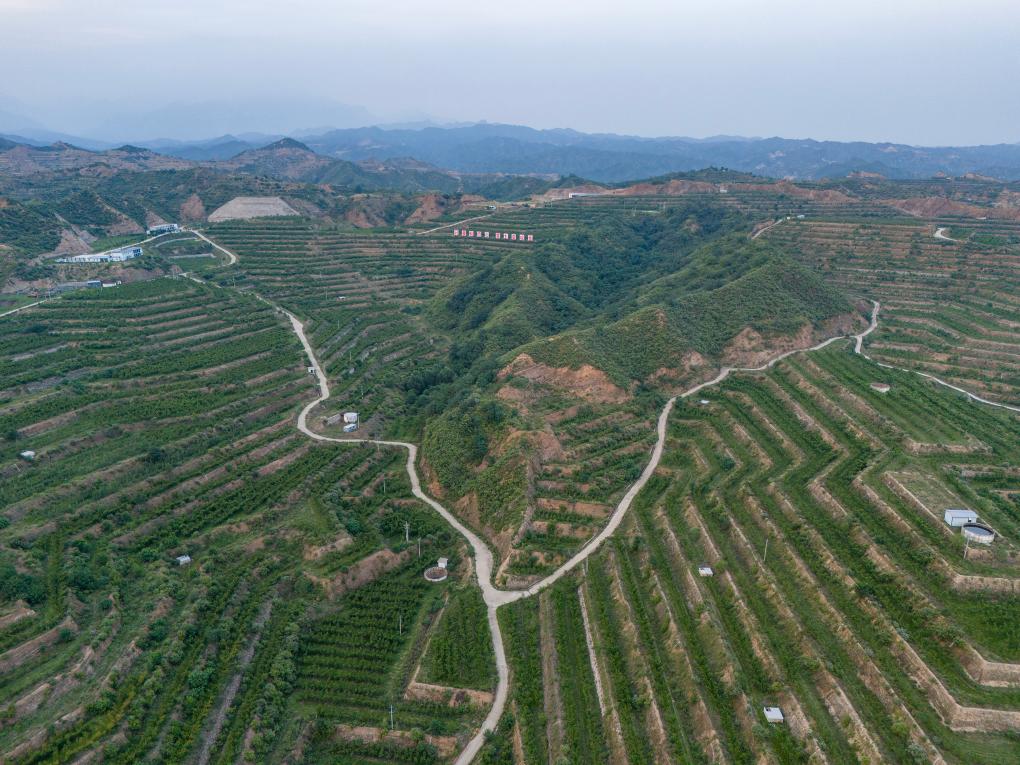 铭记历史 缅怀先烈丨山河回响(图17)