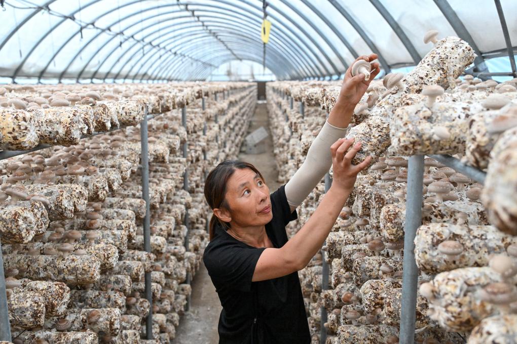 铭记历史 缅怀先烈丨山河回响(图15)