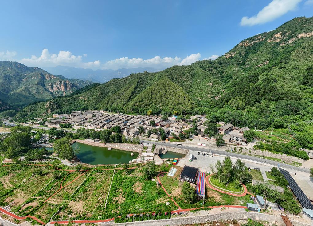铭记历史 缅怀先烈丨山河回响(图18)