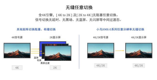 星空体育平台：小鸟科技助力擘画四川烟草培训新图景(图3)