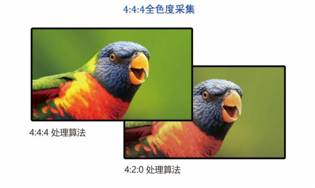 星空体育平台：小鸟科技助力擘画四川烟草培训新图景(图2)