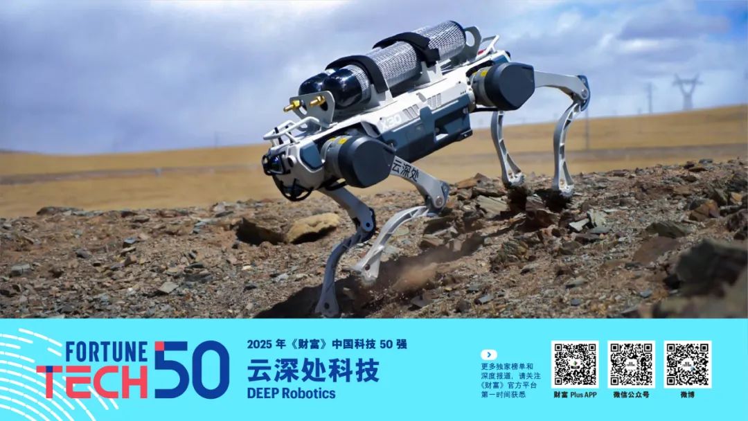 星空体育平台：2025年《财富》中国科技50强(图8)