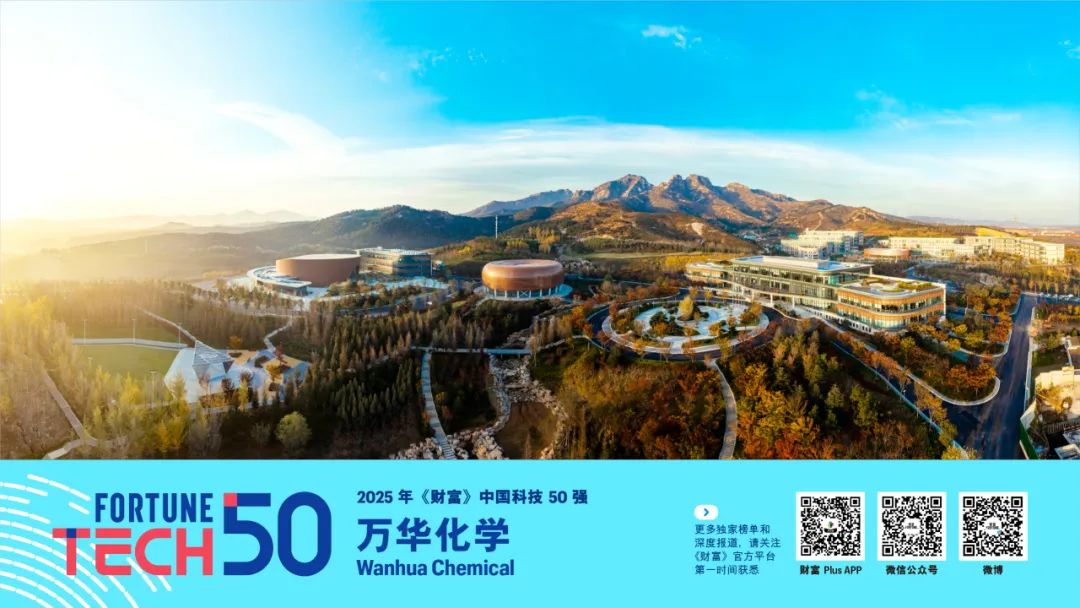 星空体育平台：2025年《财富》中国科技50强(图13)