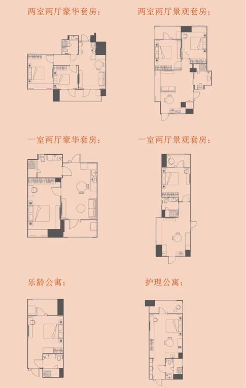 雅诗阁中国首开养老公寓生意好干吗？(图5)