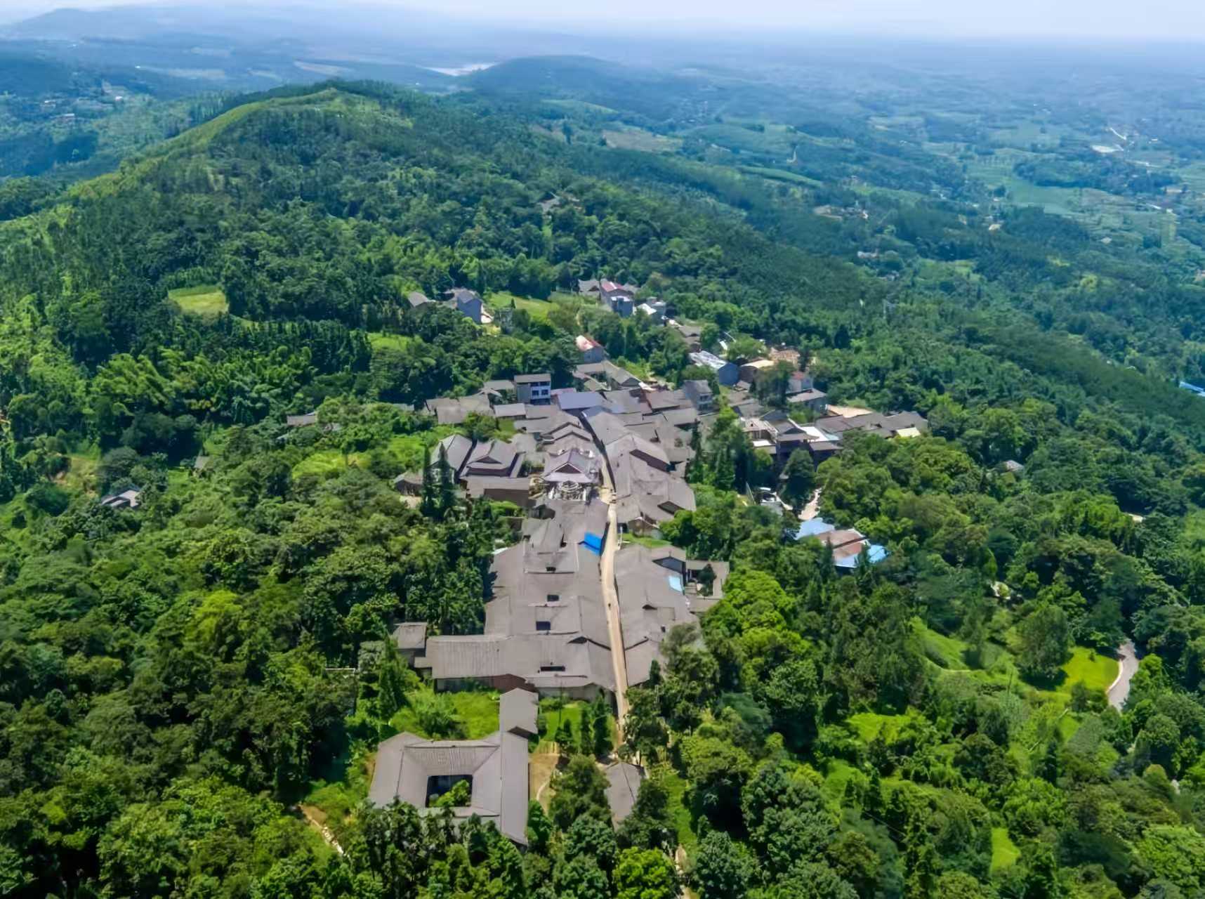 看环球传媒网关注实况微信(图7)