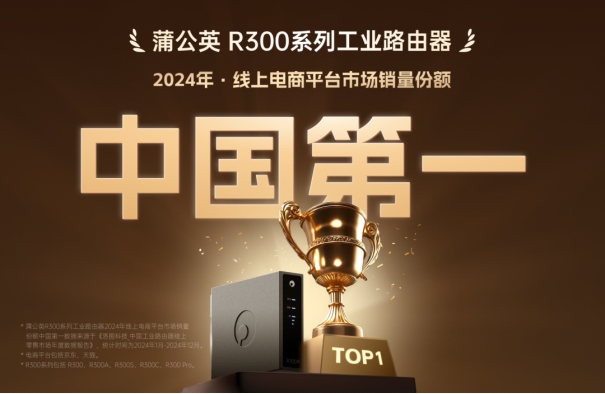 合规+安全！贝锐蒲公英组网方案护航医疗数据异地传输与共享(图3)