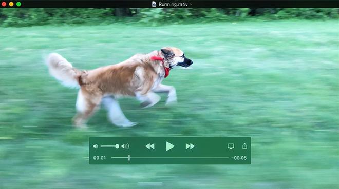 有什么支持mov格式的播放器？免费好用的转换器分享都来试试(图2)