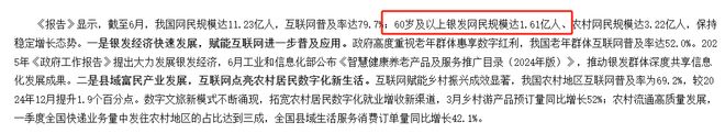 3亿老人仅52%月入超3000？30万亿银发经济繁荣下“长寿贫穷”危机(图16)