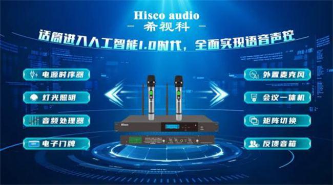 「价值锚点·体验再造」2025音视频行业会议音频类热点产品推荐榜(图12)