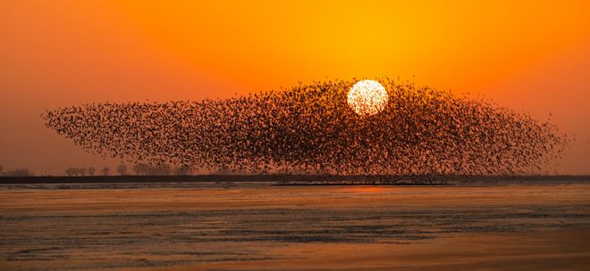 红色热土河海新篇：“大美东营”绘就高质量发展新画卷(图3)