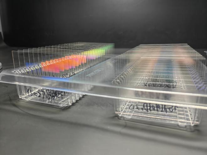 星空体育平台：广州黄埔冲刺“世界显示之都”：超高清视频和新型显示迈向价值链高端(图5)