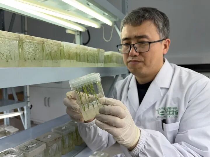 星空体育：2025年武汉十大企业新闻发布武汉企业攀高向新首台首套首次竞相涌现(图6)