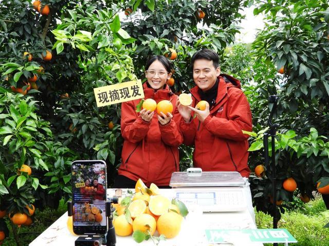 星空体育：四个关键词读懂2025年中国经济“年报”(图6)