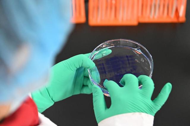 星空体育：四个关键词读懂2025年中国经济“年报”(图14)