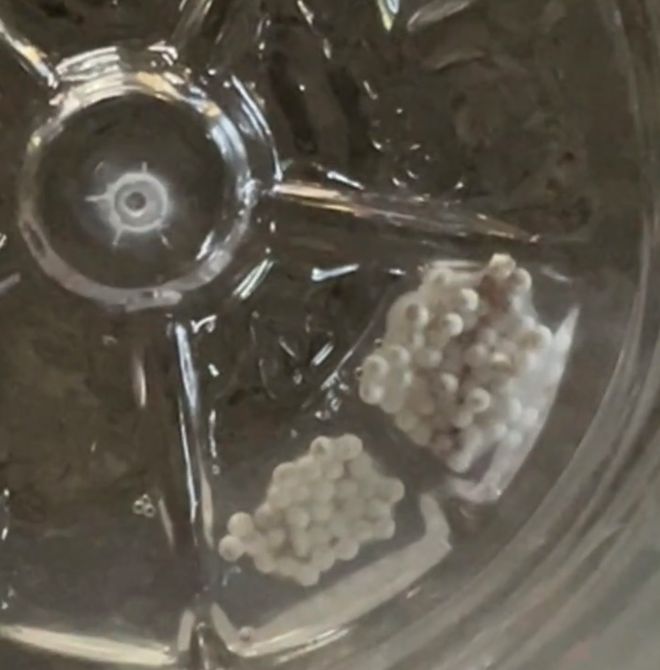 星空体育平台：早读天津还有雨！柳州再次地震后情况！怡宝被曝！雷军突然宣布！孙杨回应“妈宝男”！又现汉坦死亡病例！(图8)